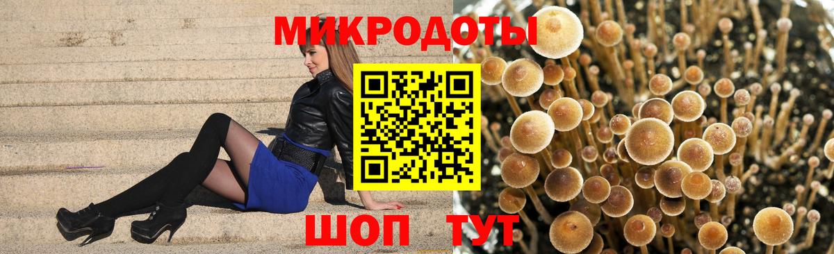 Галлюциногенные грибы ЛСД Отрадный